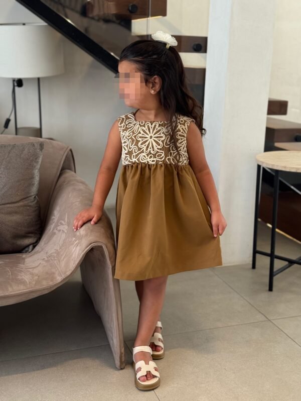 Brown dress